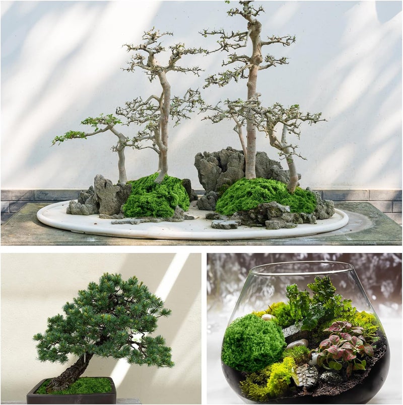 Draupnir Fake Green Moss for Potted Plants, 10.6OZ Fake Moss for Plants Indoor,Faux Moss for Crafts Artificial Moss Decor, DIY Decorative Moss for Fairy Garden Glass Containers Wedding (300g) - Image 3